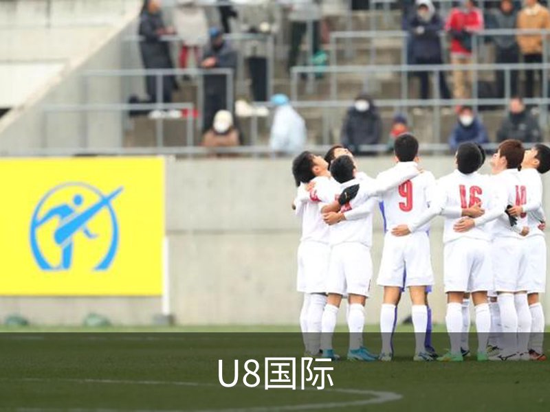 U8国际介绍